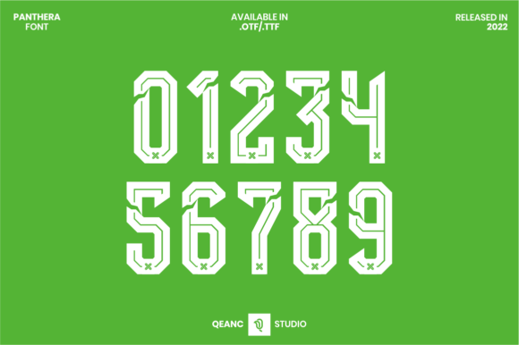 Discover Panthera: A Modern Display Font for Editorial Projects