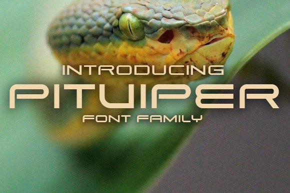 Pitviper: A Bold Display Font for Digital Creativity